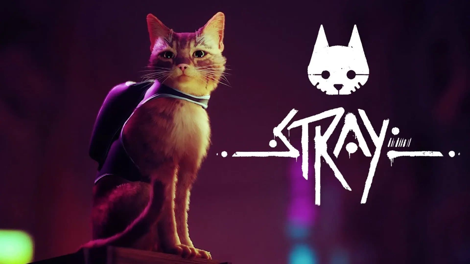 Stray na Steam za 44,87 zł! Niezwykła przygoda z kotem w roli głównej dostępna 50% taniej