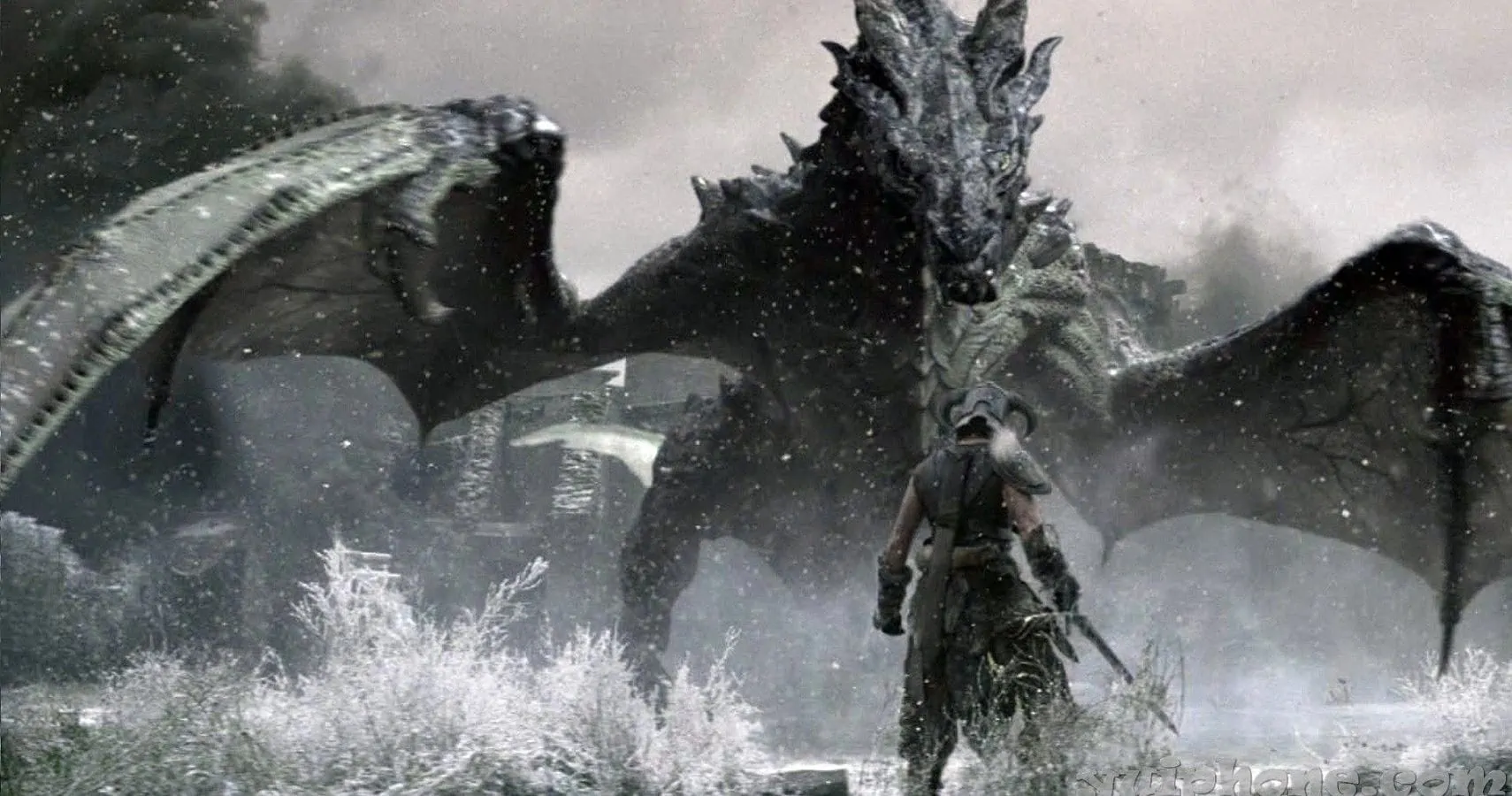Shadow of skyrim