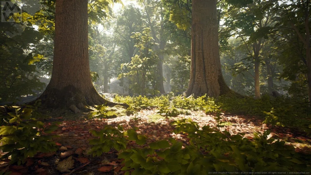 Unreal Engine 5 MAWI Broadleaf Forest