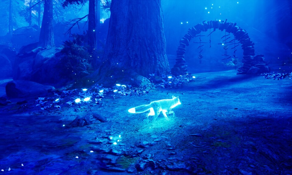 Spirit of the North