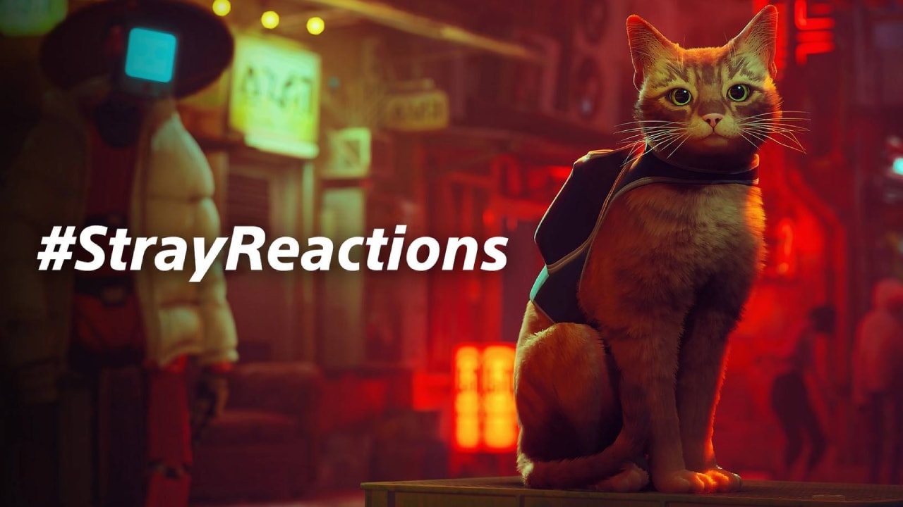 Stray Reactions