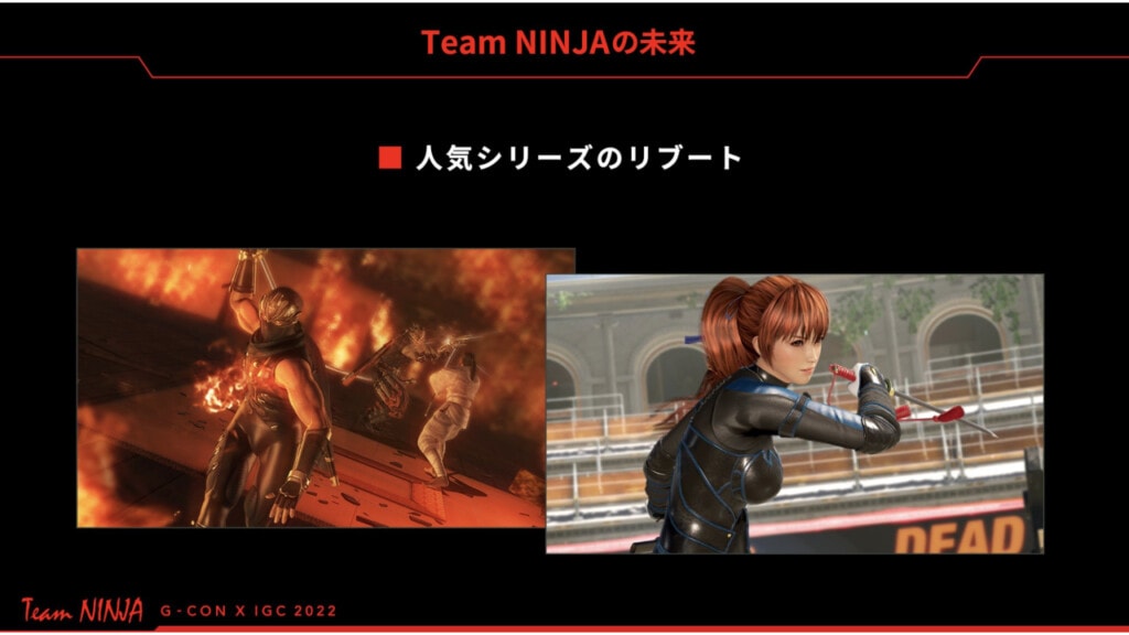 Team Ninja Dead or Alive Ninja Gaiden
