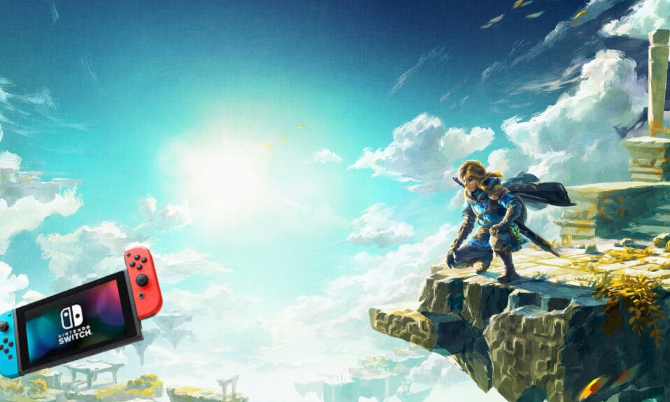 The legend of zelda tears of the kingdom nintendo switch