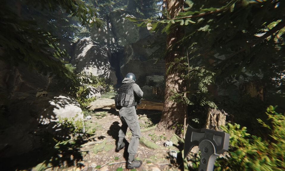 Sons of the forest