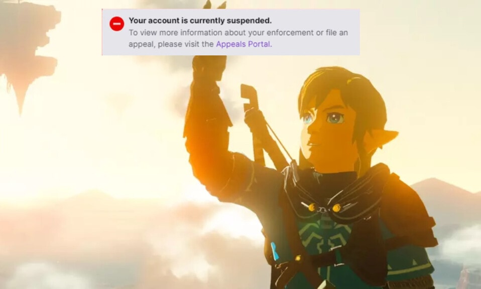 The Legends of Zelda Tears of kingdom ban