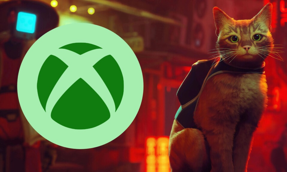 Xbox Stray