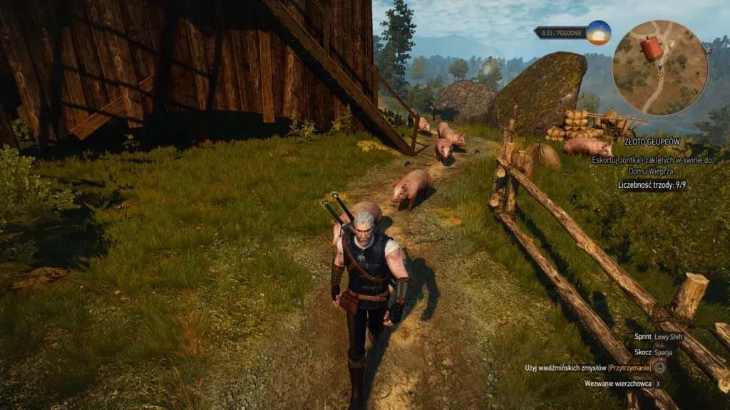 Wiedźmin 3: Dziki Gon