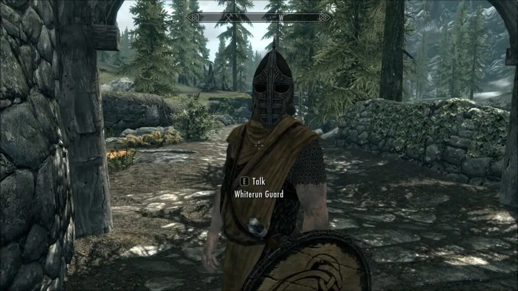 skyrim guard