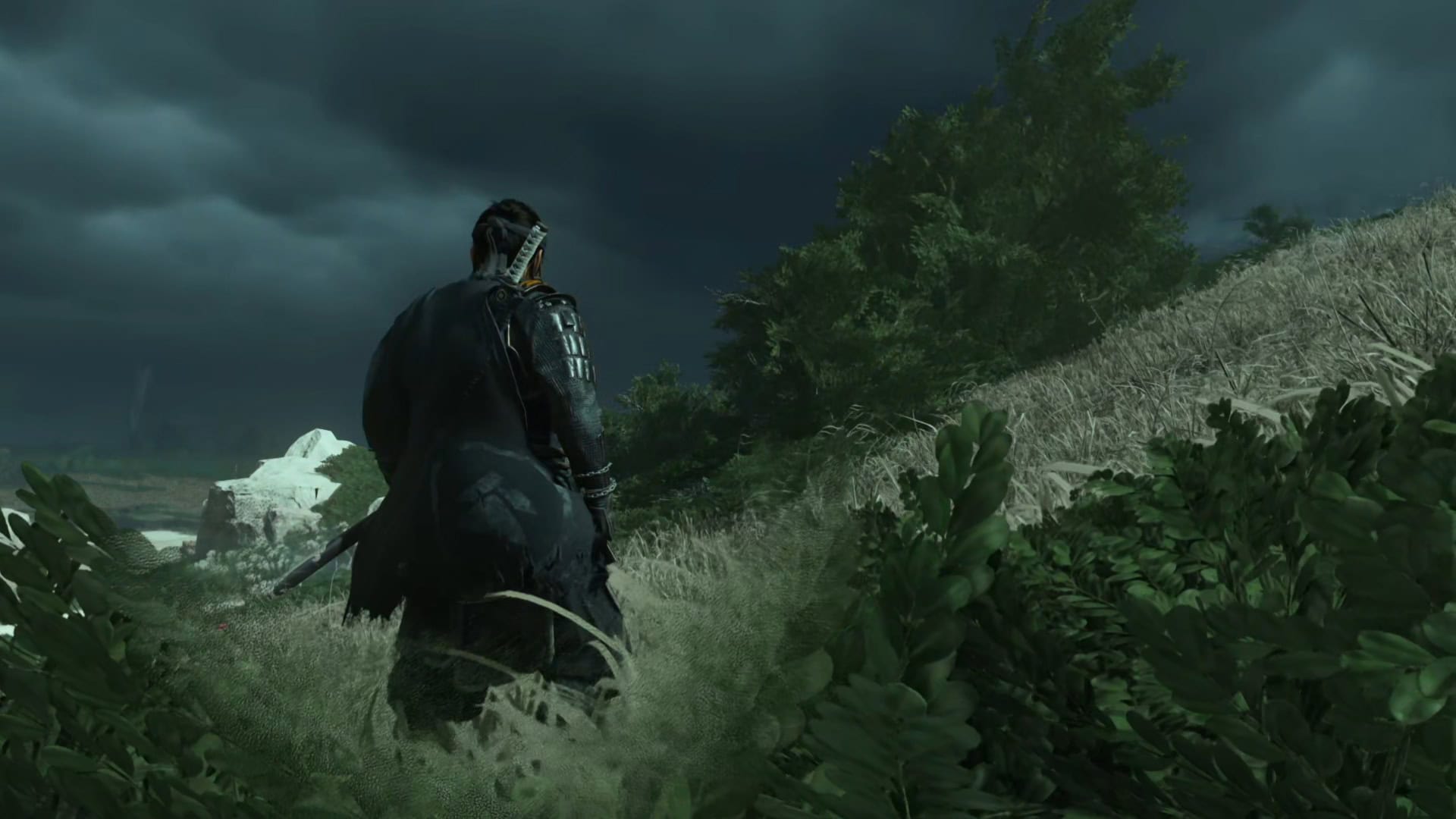 Ghost of Tsushima: Director's Cut