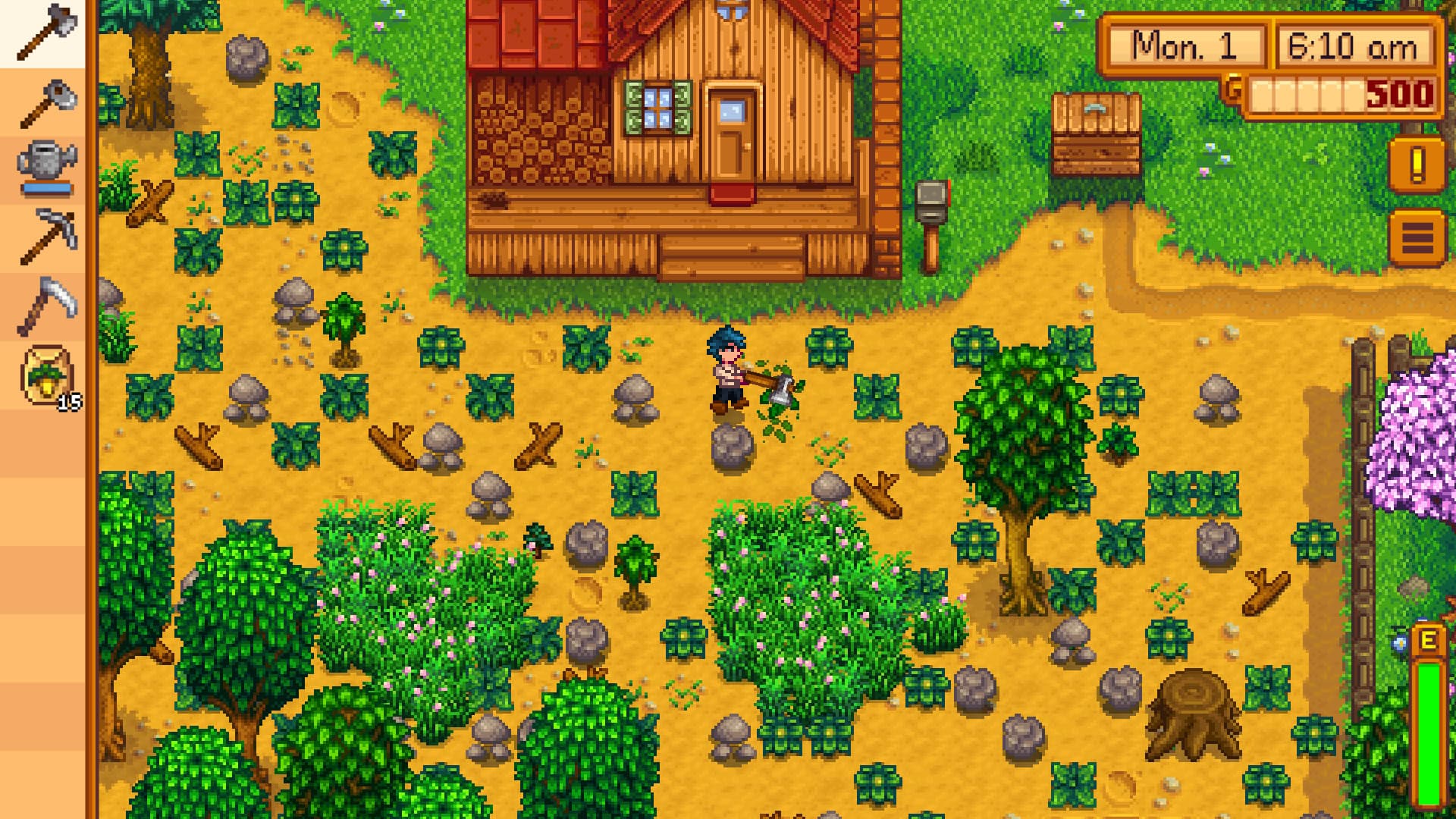 Stardew Valley