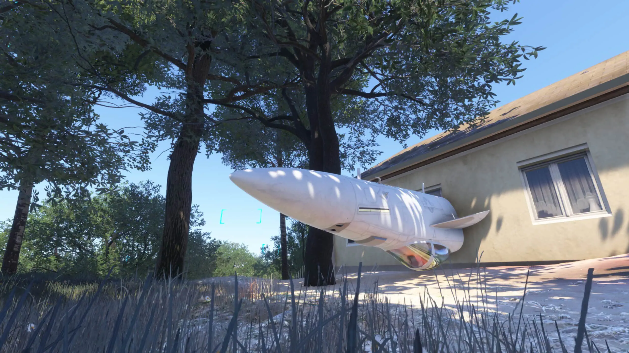 Microsoft Flight Simulator 2024