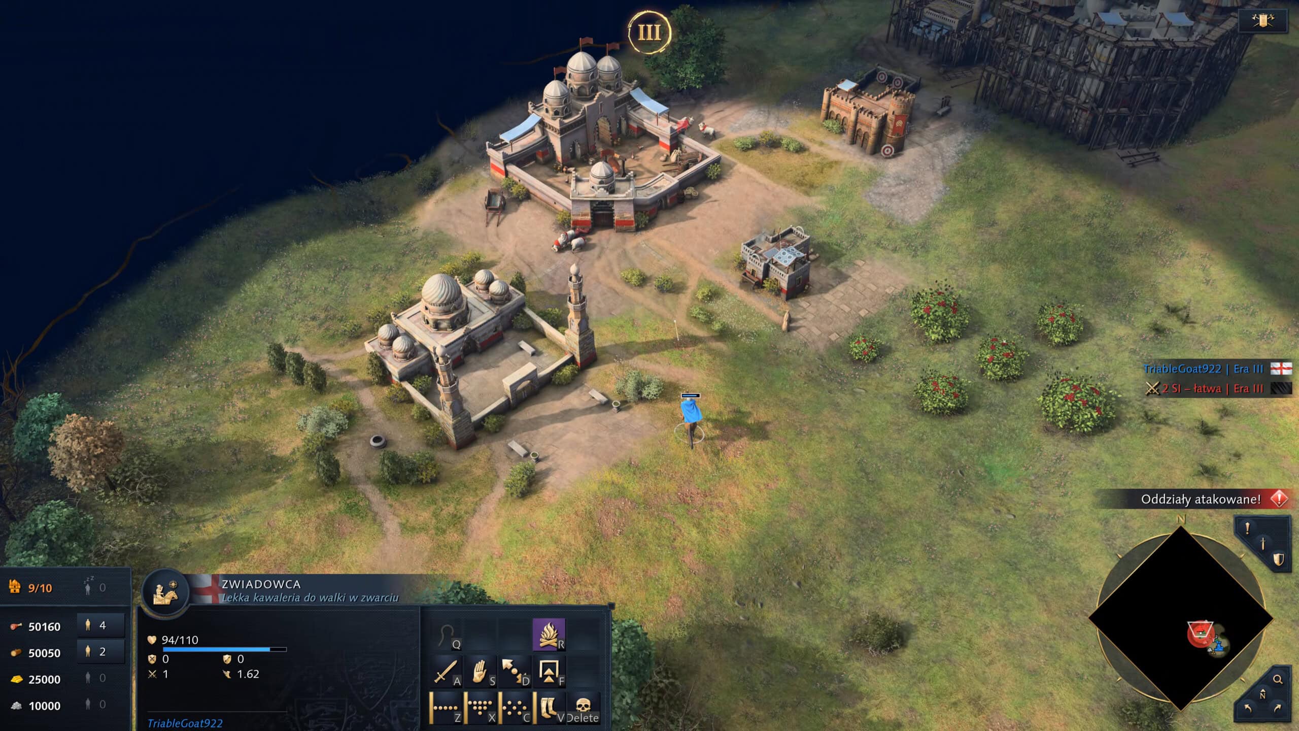 Age of Empires IV