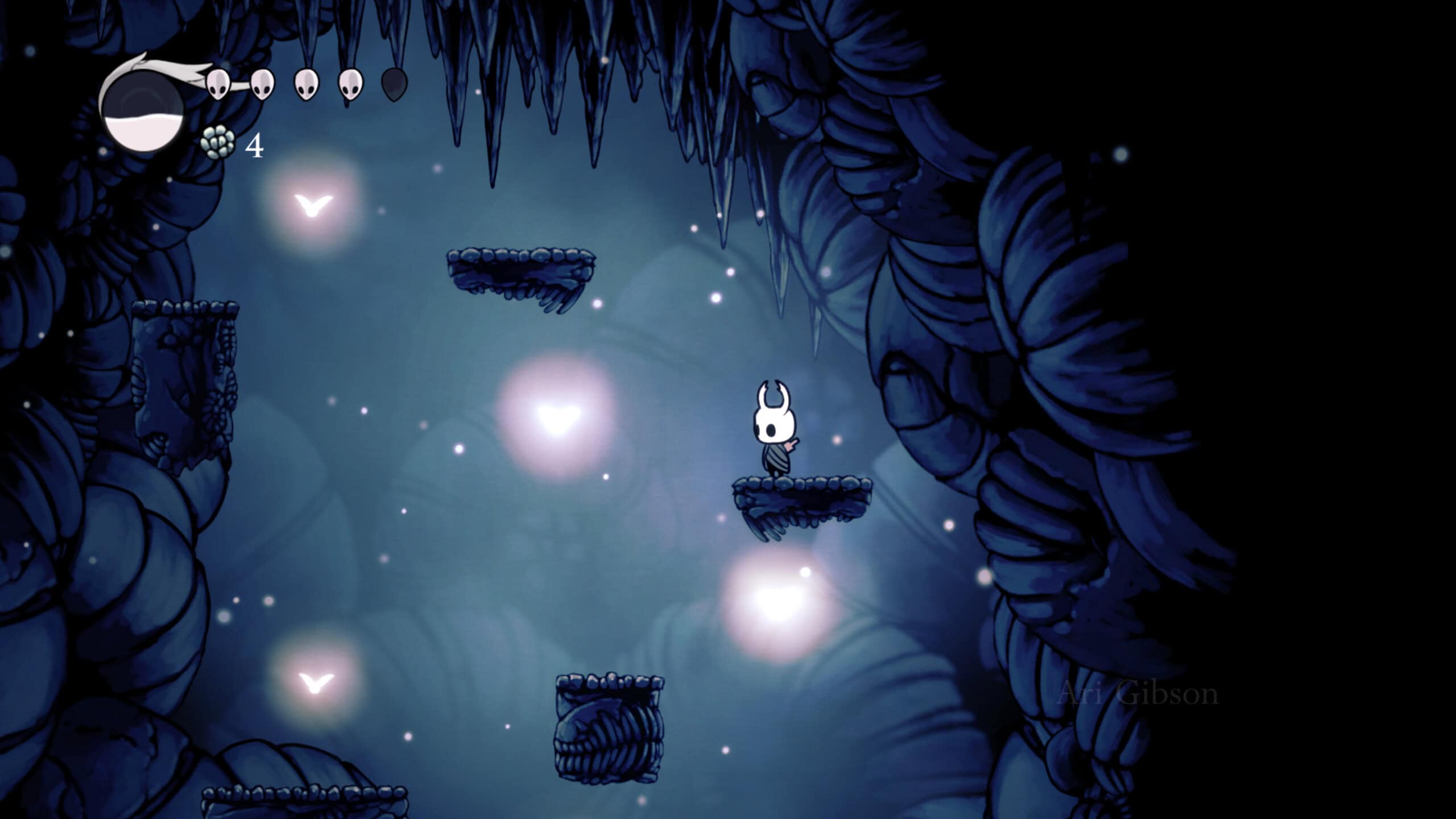 Hollow Knight