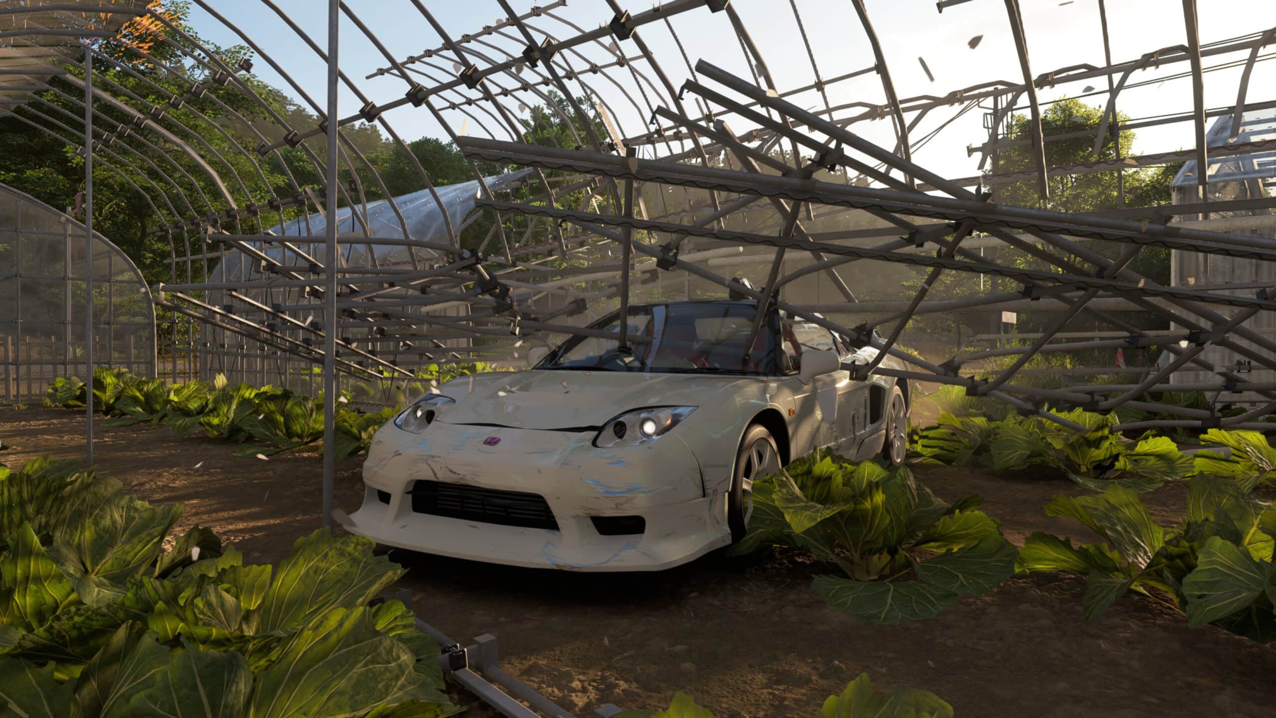 Forza Horizon 6